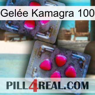 Gelée Kamagra 100 15
